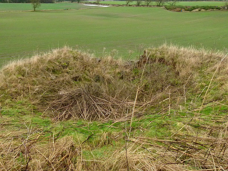 Harlaw Hill Limekiln, Rennington